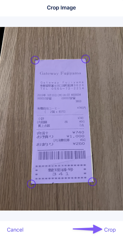 crop_image_expense.png